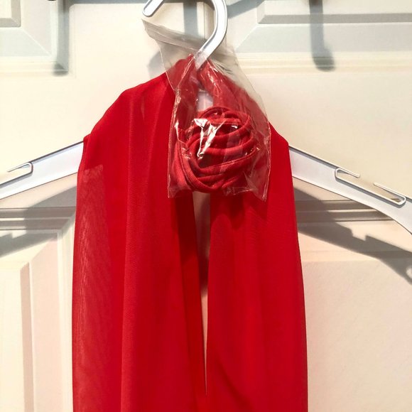 Coral High Low Homecoming/Prom Dress - Picture 7 of 8